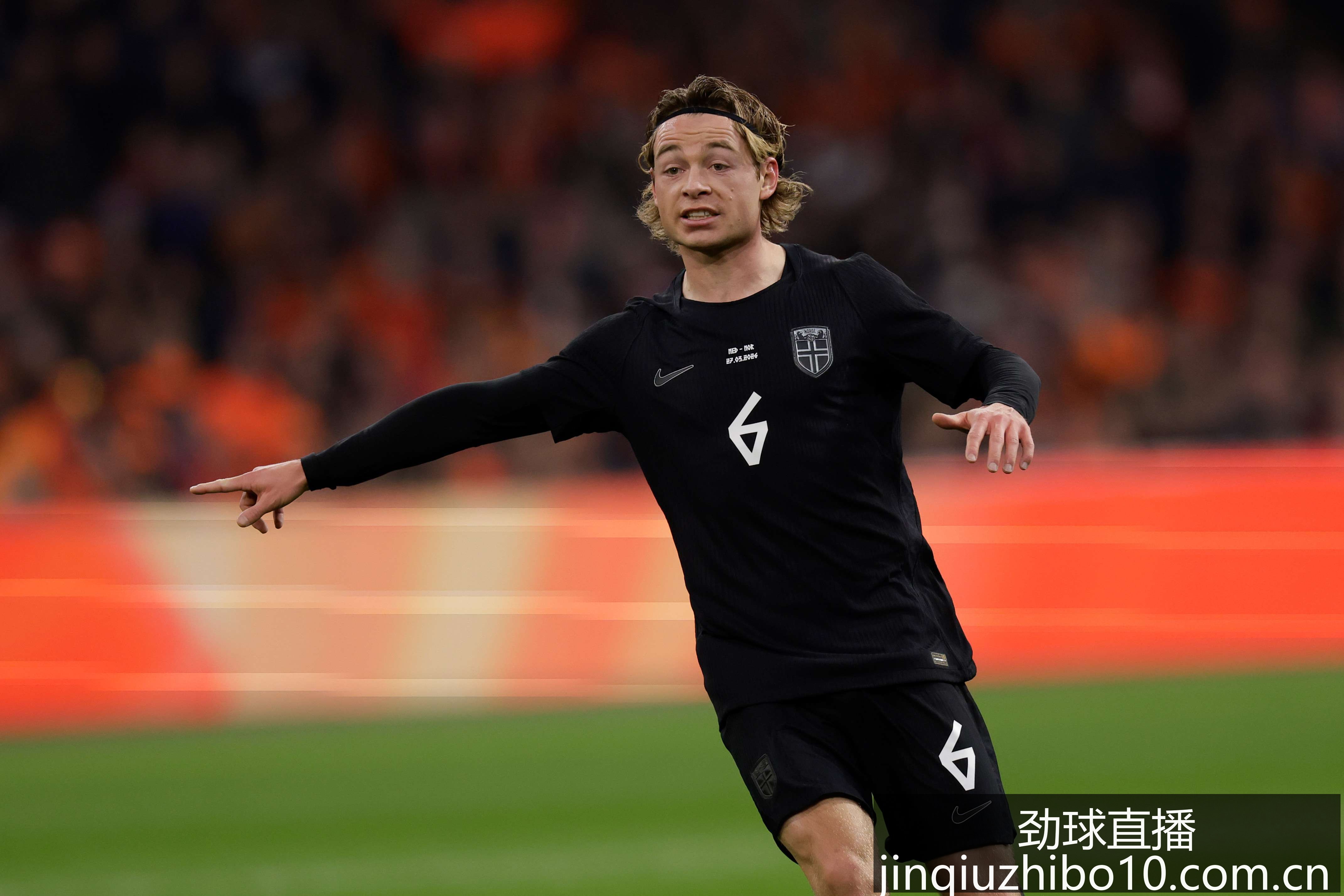 宁波男篮引,援成功,深度解读拉,劲球直播官网,劲球直播避坑,劲球直播攻略,劲球体育平台,劲球直播可靠性